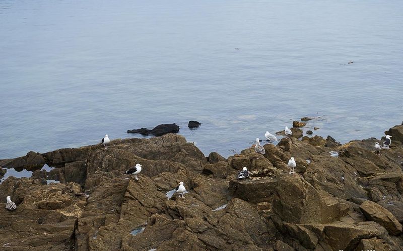 Le long du quai - Roscoff