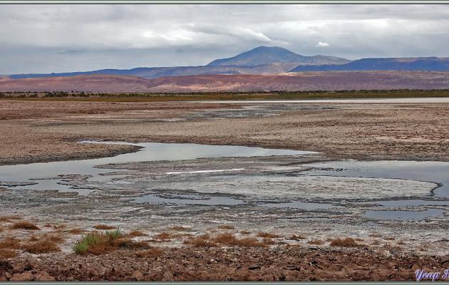 16/03/2022 matin : la Lagune Tebinquiche, un peu décevante car ciel et montagnes étant encombrés uniformément de nuages, pas de couleurs, pas de reflets ...  - San Pedro de Atacama - Chili