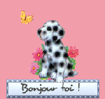 POCHETTE Grille de "Maria Suarez"