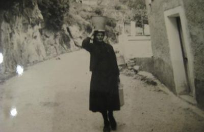 Retour vers le passé et l'âne corse