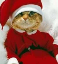 Dimanche c'est Quya et même Noël