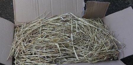 Plantations pour jardin sec