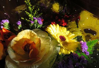 un bouquet pour Danièle