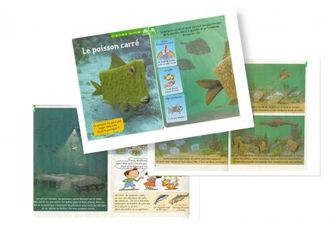 Le poisson carré