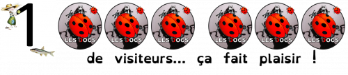 Un million de visiteurs !