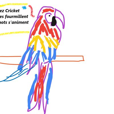 cricket