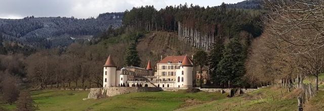 Le Château de Pramenoux.....
