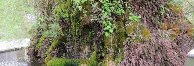 Site du Saut du Loup (06)