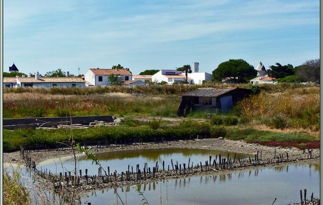 Bassins d'affinage d’huîtres abandonnés - Loix (Le Port) - Île de Ré - 17