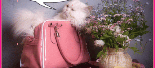  Il pleut , il mouille....