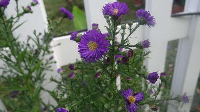 Dernier Dimanche de Septembre 2016