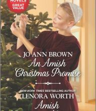 Download PDF An Amish Christmas Promise and Amish Christmas Hideaway