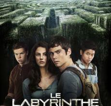 BOX OFFICE FRANCE 2014 TOP 11 A 20