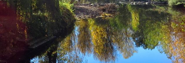 Couleurs d'automne ...