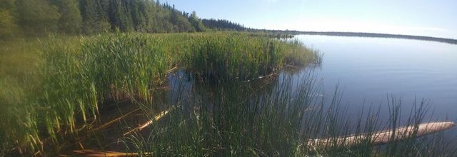 Journey Through Western Canada: Day Fourteen: From Fort Nelson to Nugget City