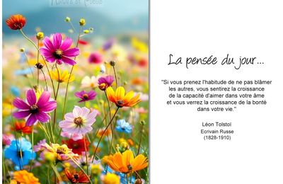 La pensée du jour (206)
