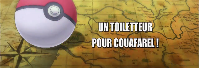 Pokémon - 17x08 - Un toiletteur pour Couafarel !