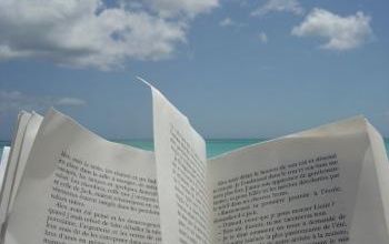 Nouveautés Romans, romans policiers, etc