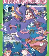 Ebook pdf download portugues Little Witch Academia (light novel): The Nonsensical Witch and the Country of the Fairies