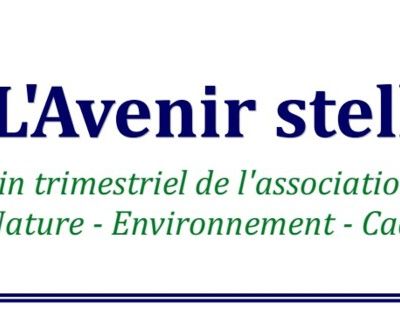 Avenir Stellien n° 97 - Spécial “Municipales 2026”