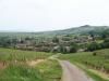 71-Chasselas - Mont de Pouilly