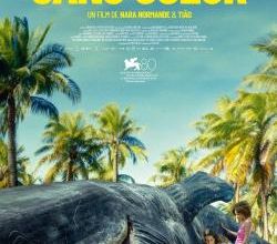 Semaine du 15 au 21 mai 2024