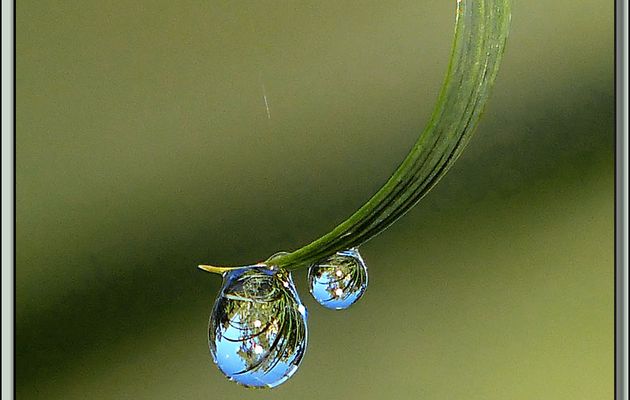 Création d'un petit matin tout en rosée: pendentif - Lartigau - Milhas - 31160