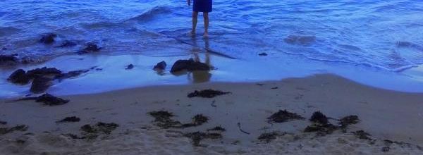  coté mer , coté jardin  