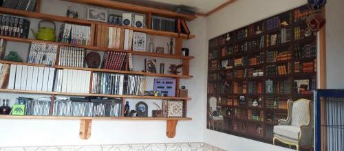 La nouvelle bibliothèque est installée