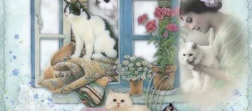  Jolis chatons ..j'aime...