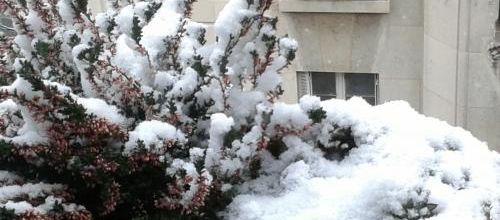 Écrits de saison
