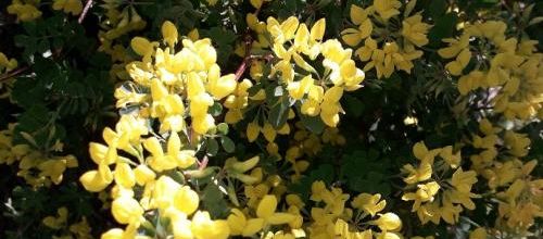 énième jour de confinement