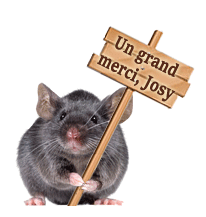 732 - Souris grise - gif animé, blinkie, signature
