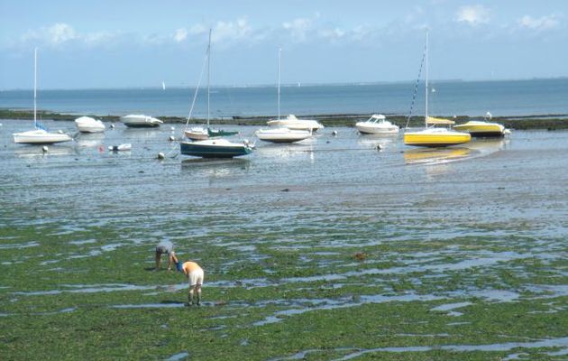 LA MER S’EST RETIREE