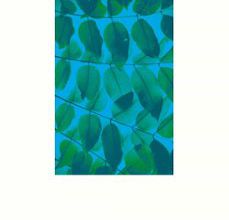 [PDF/Kindle] BAJO EL ÁRBOL DE LOS TORAYA descargar gratis