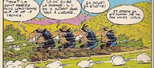 Un peu de langueur