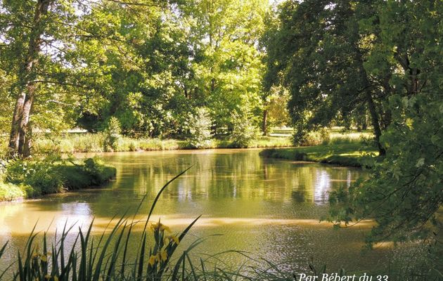 le plan d'eau du parc floral à Bordeaux