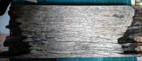 Rame, rame, rameurs, ramez....