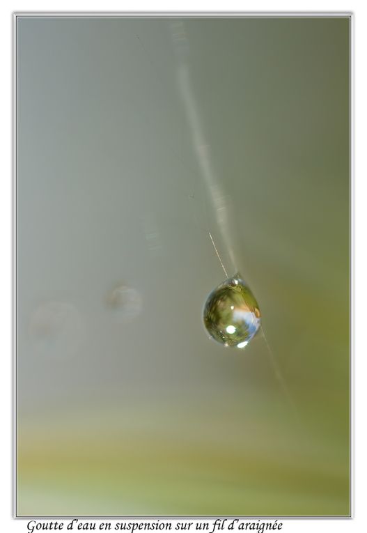 02 - Gouttes d'eau