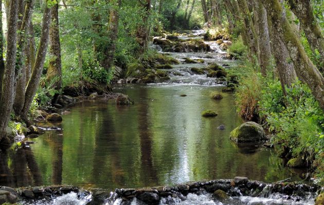une rivière en reflets