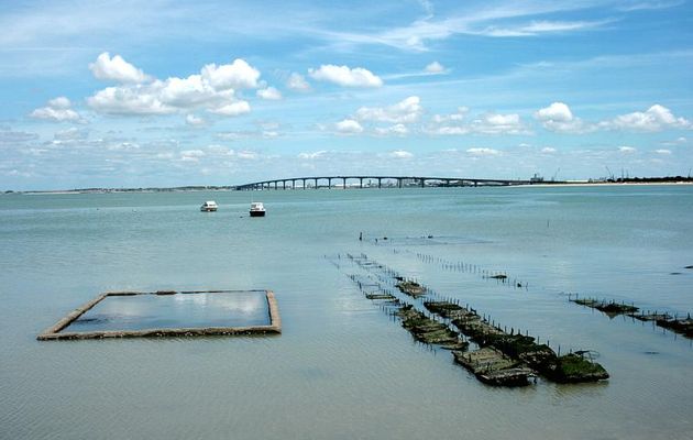 Parcs à huîtres sur fond de pont - Rivedoux - Ile de Ré - 17