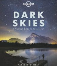 Download ebook from google book as pdf Dark Skies 9781788686198
