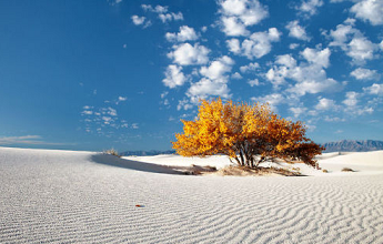 White Sand ... 