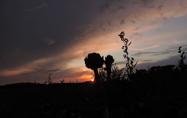 photo mystère ?