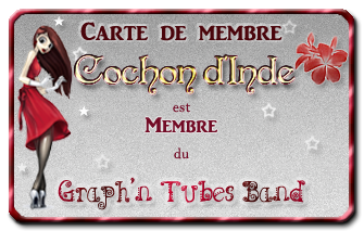 Le Graph'n Tubes Band