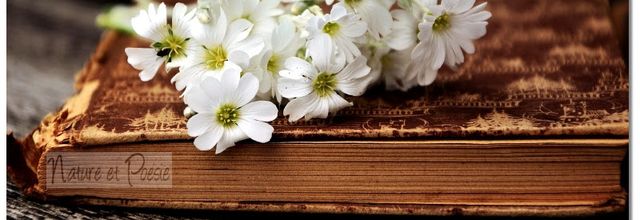 La pensée du jour (213)