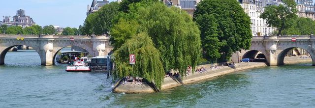Crue de la Seine, 3 juin 2016 : Le Square du Vert Galant