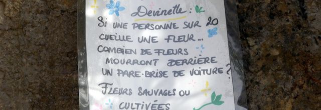 Une semaine dans le Lot : Saint-Cirq-Lapopie (1/3)