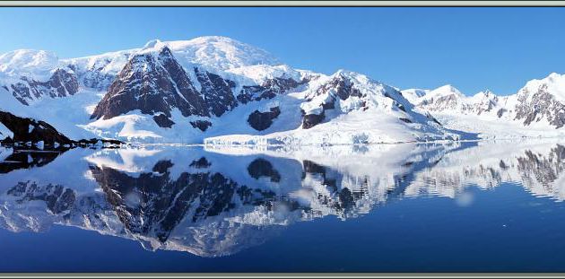 Débarquement dans Paradise Bay pour une balade à Skontorp Cove (Manchots Papous, Cormorans Impériaux, Chionis, glaciers) - Péninsule Antarctique
