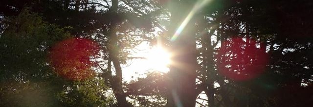Petit aller/retour à groix : le lendemain matin
